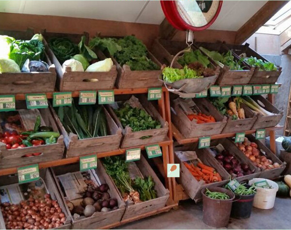 Boerderijwinkel De Cinquant