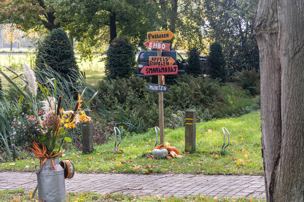 Pluk & Oogstfeest Mill 2025