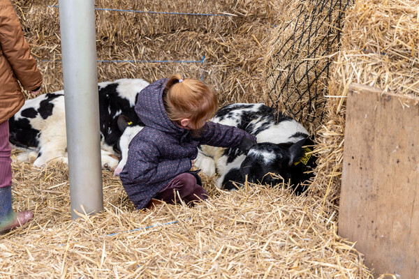 Pluk & Oogstfeest Mill was een succes