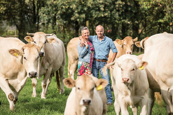 Natuurzuivere Runderen Land van Cuijk